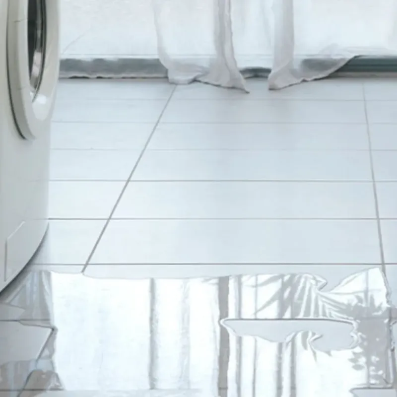 Appliance Leak Cleanup in Bad Axe, MI