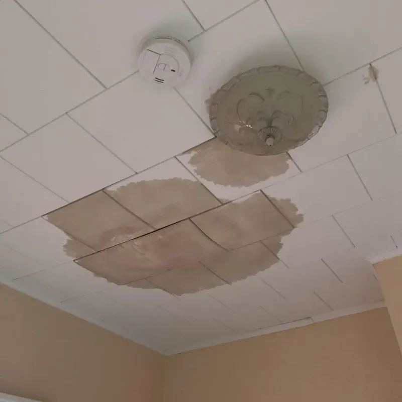 Ceiling Water Damage Repair in Bad Axe, MI