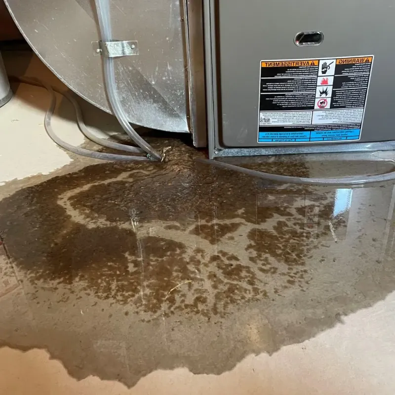Pipe Burst and Leak Restoration in Bad Axe, MI